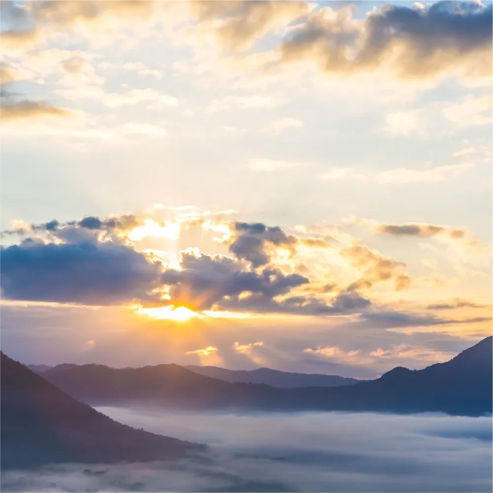 火化流程有哪些？