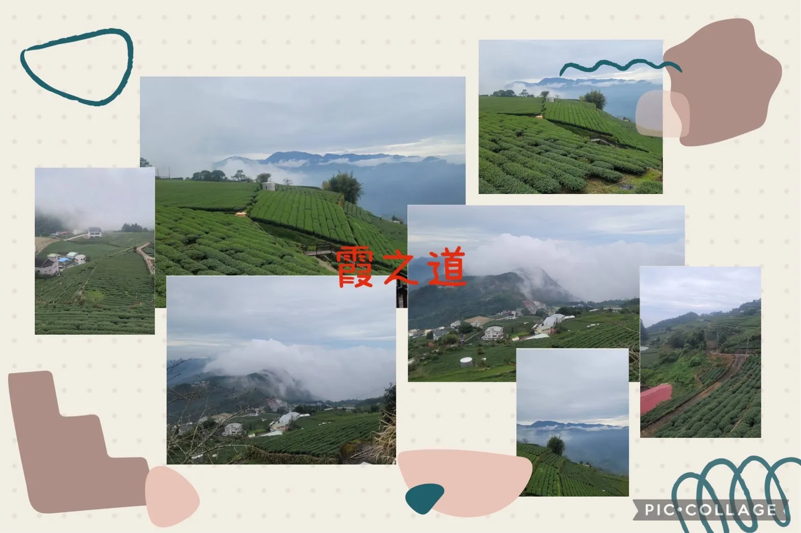 霞之道包車旅遊：暢遊阿里山最美公路