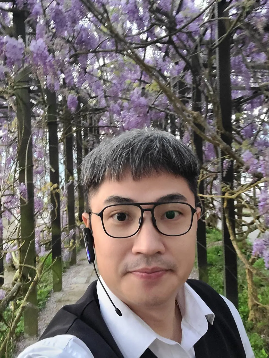 小明包車帶你賞花去！佳里花旗木花旗木步道最美拍照景點
