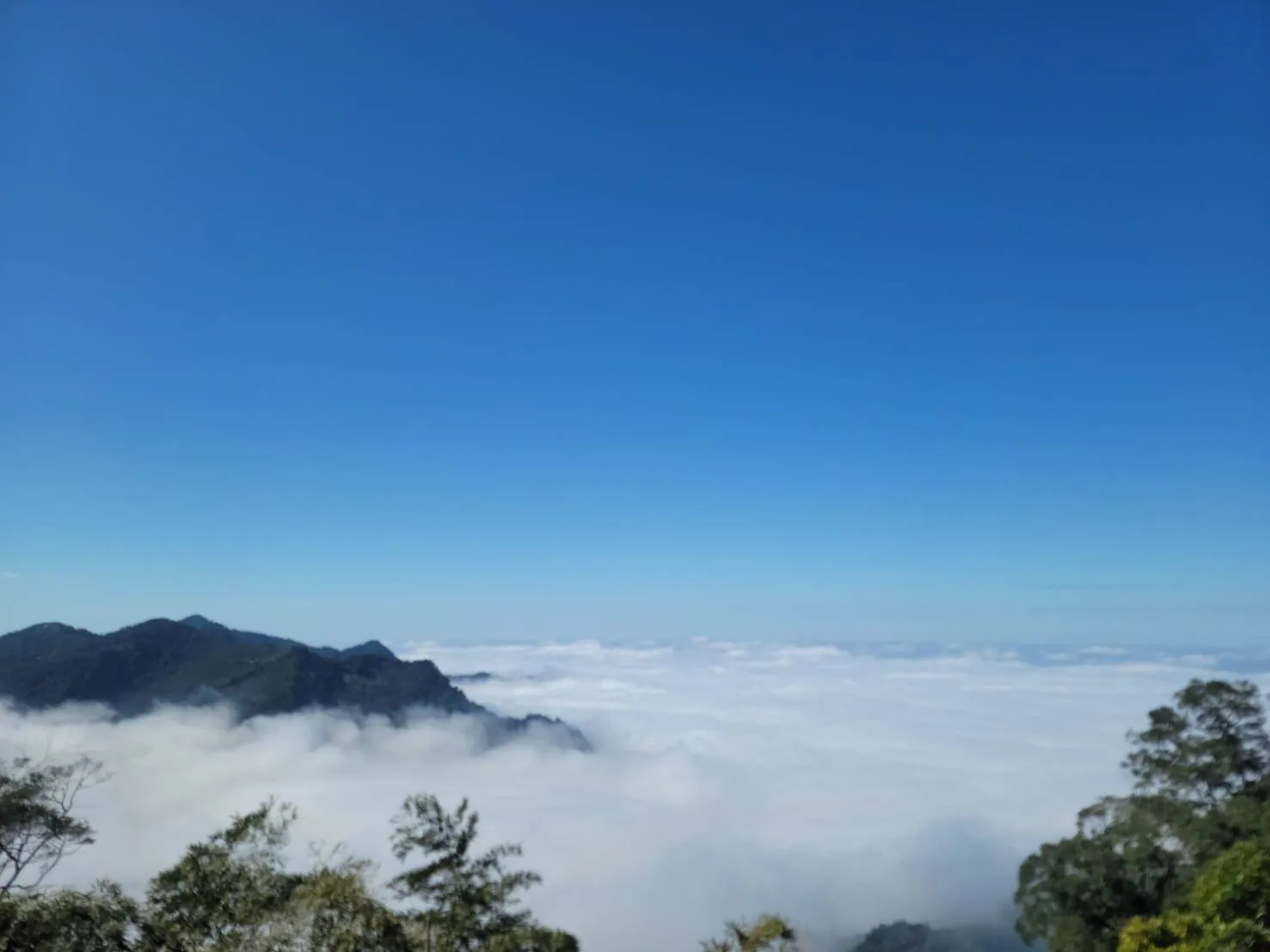 嘉義包車旅遊｜隙頂觀景臺、東埔山莊自由行行程規劃