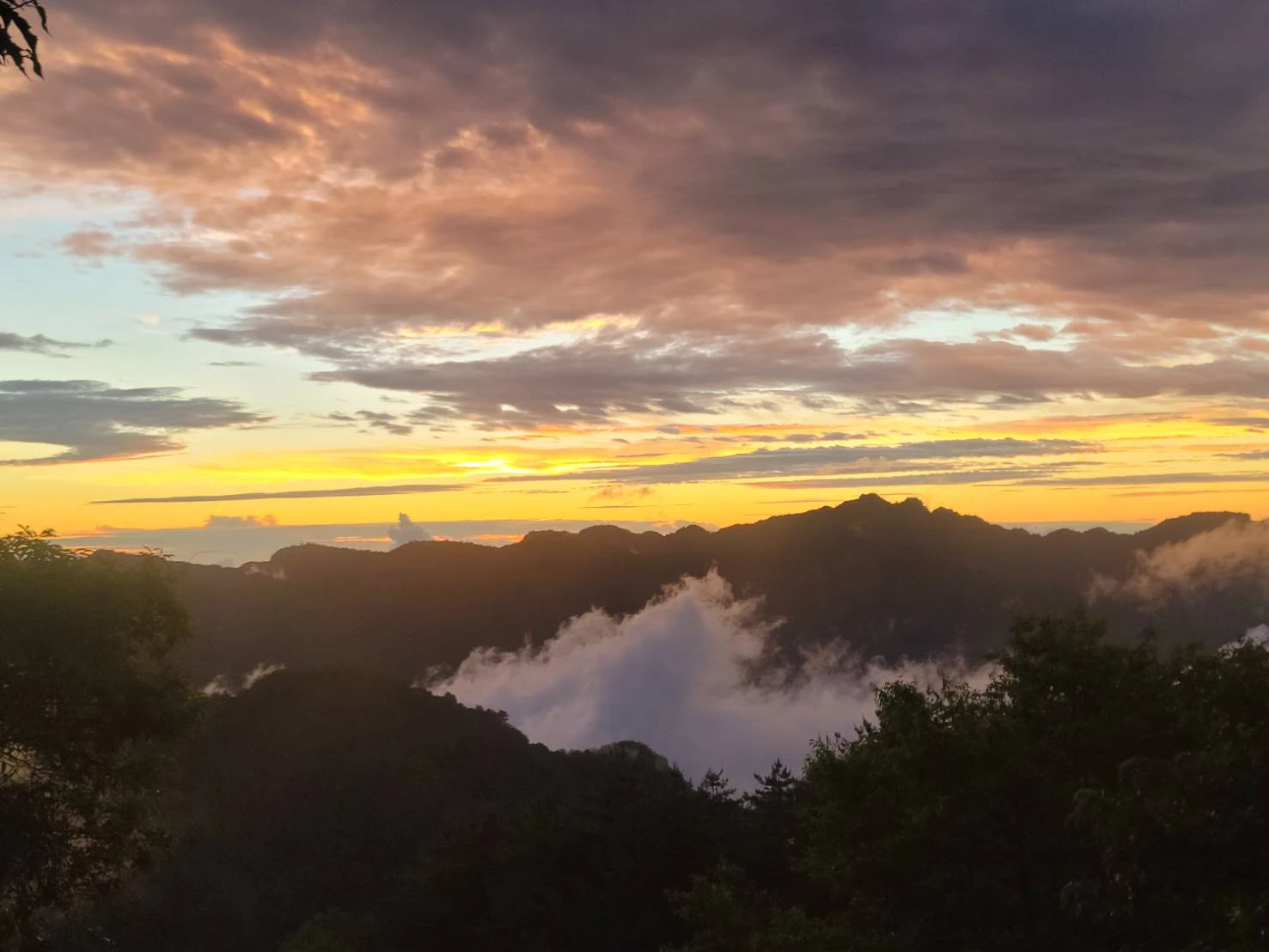 雲林包車旅遊