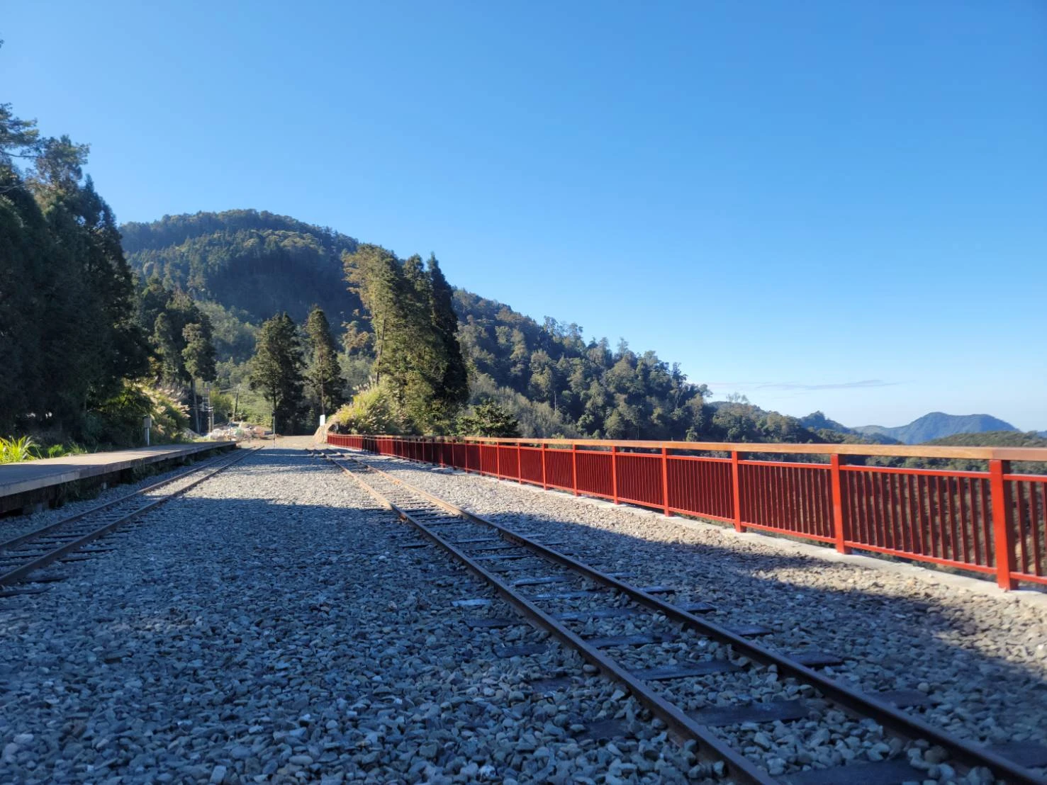 嘉義包車旅遊