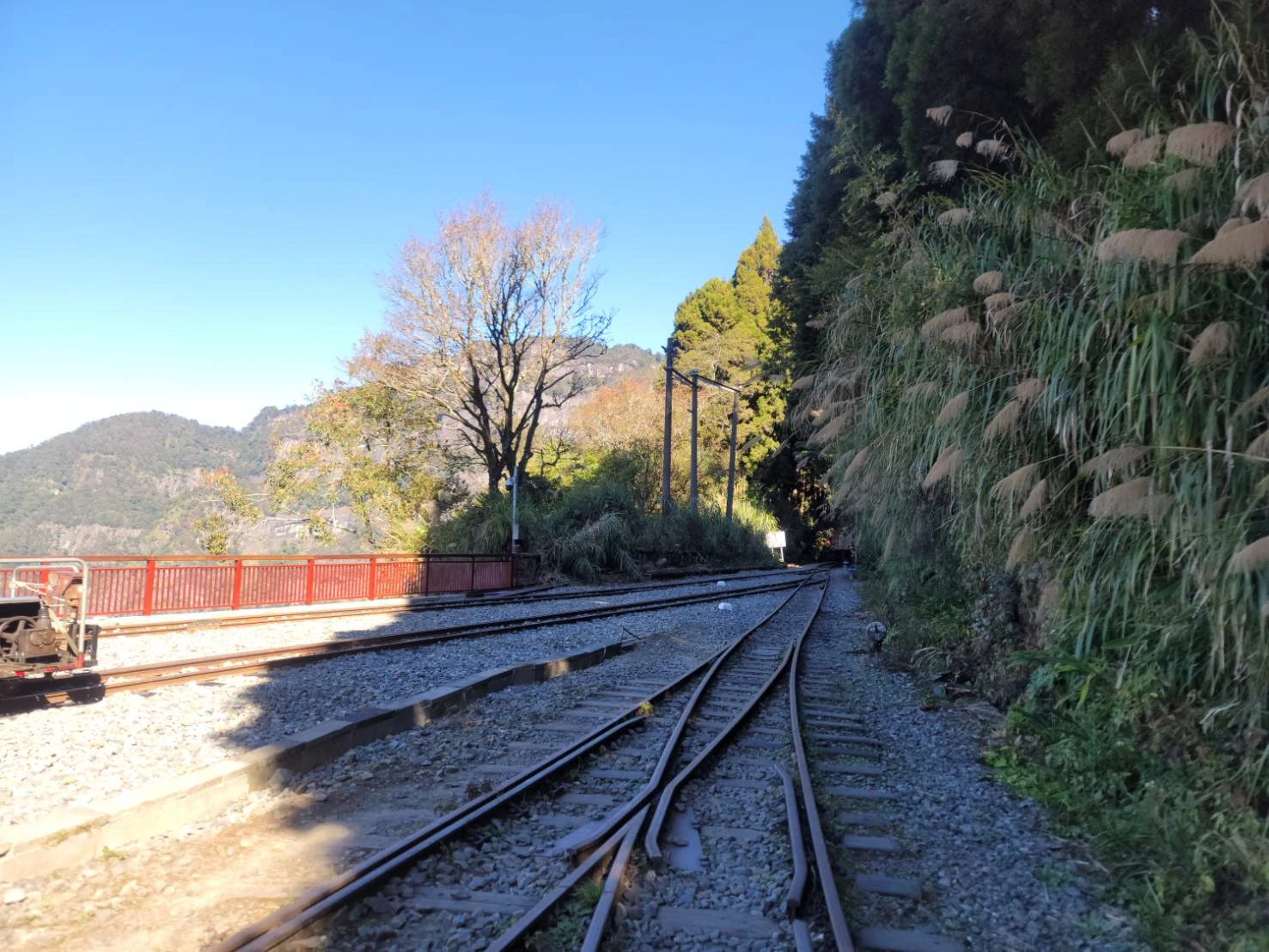 嘉義包車旅遊