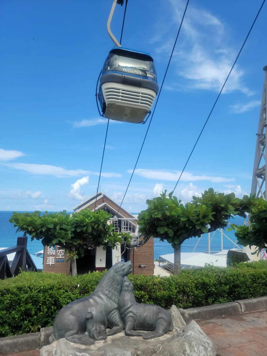 花蓮遠雄海洋公園｜花蓮包車旅遊