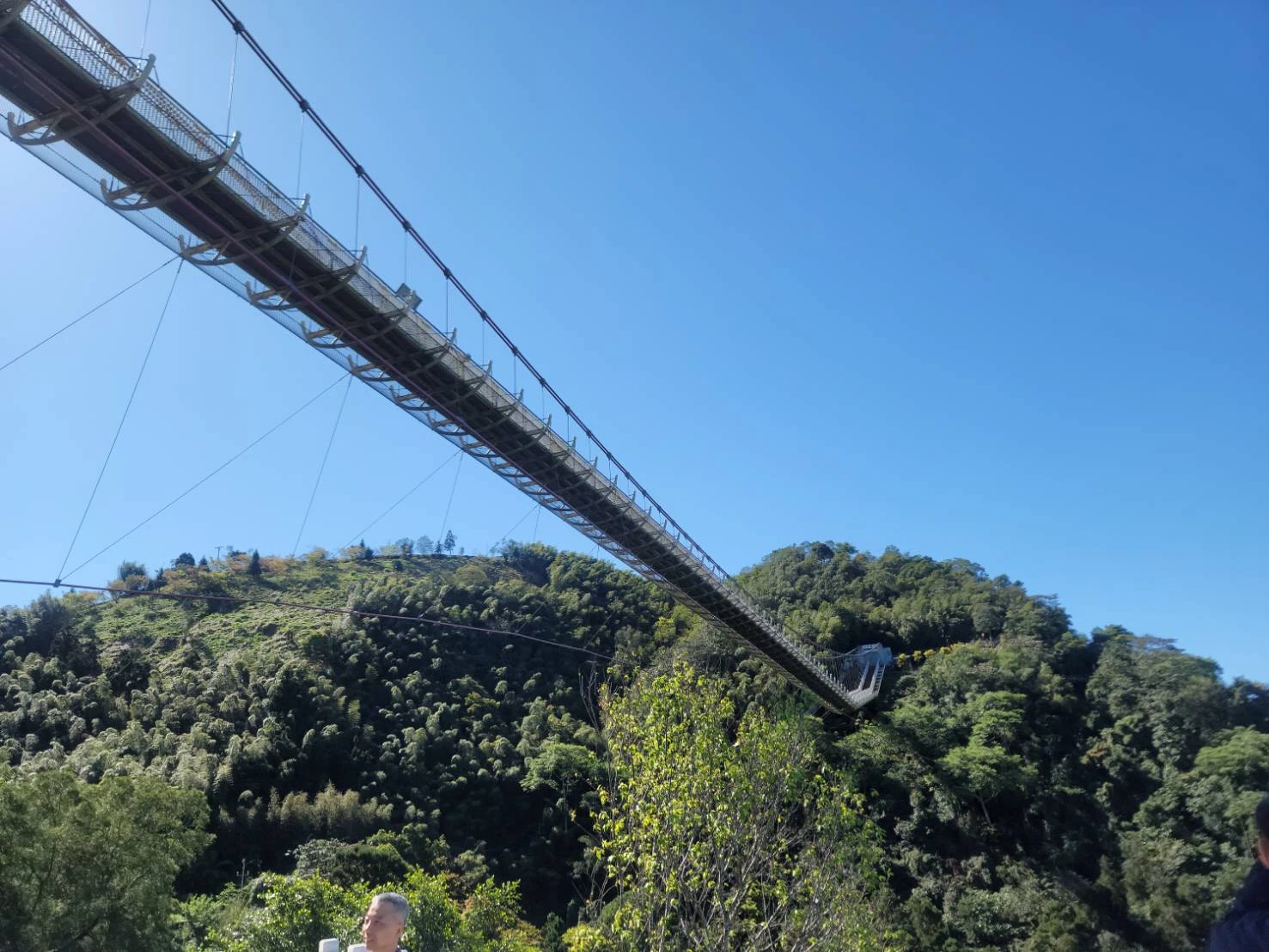 嘉義梅山太平雲梯｜嘉義包車旅遊