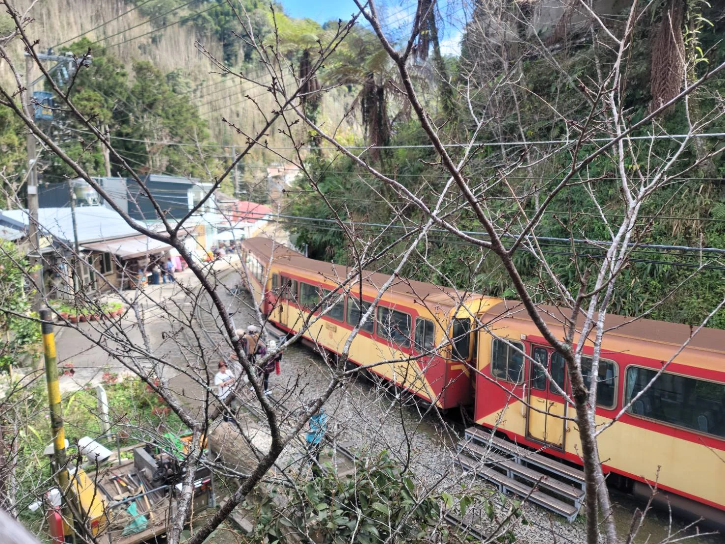 嘉義阿里山｜阿里山包車旅遊
