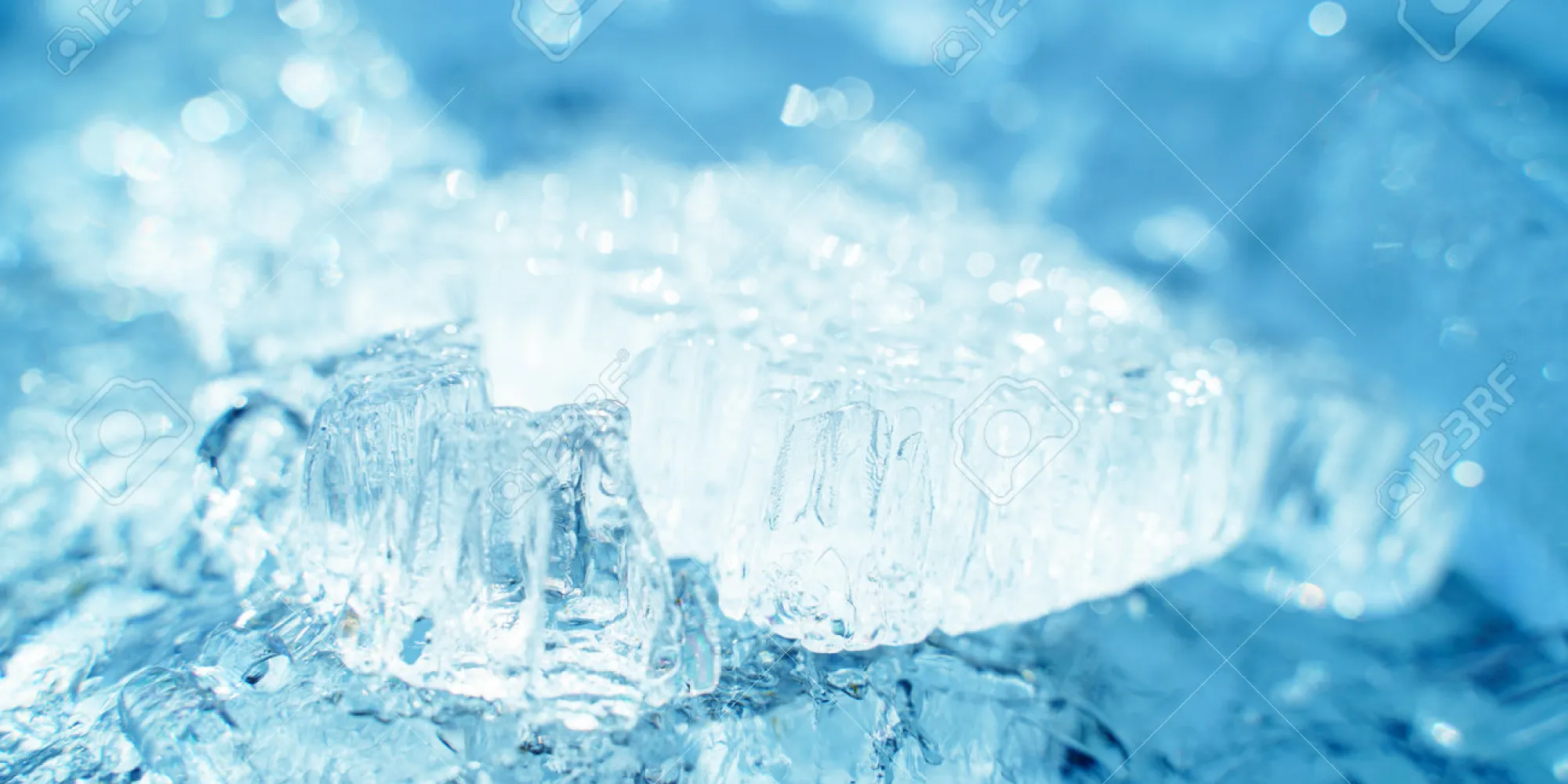 智良實業有限公司