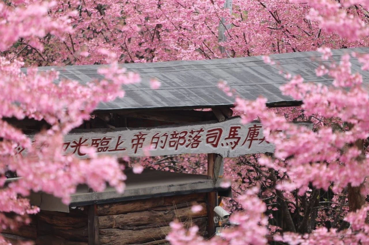 新竹包車旅遊