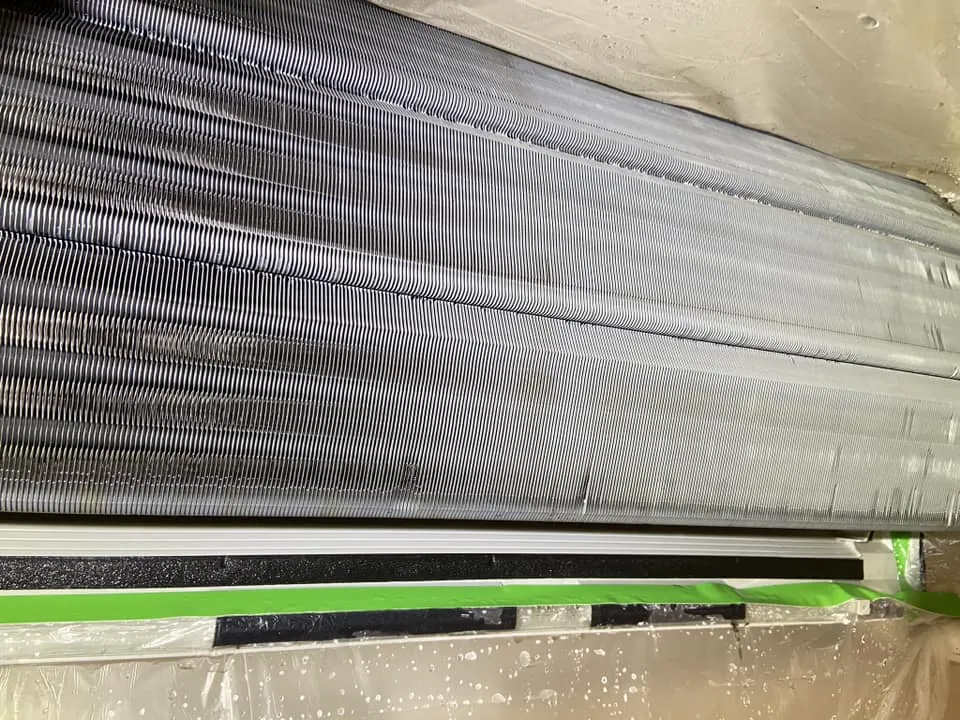 有養寵物的差不多1年就要檢查看看清洗唷