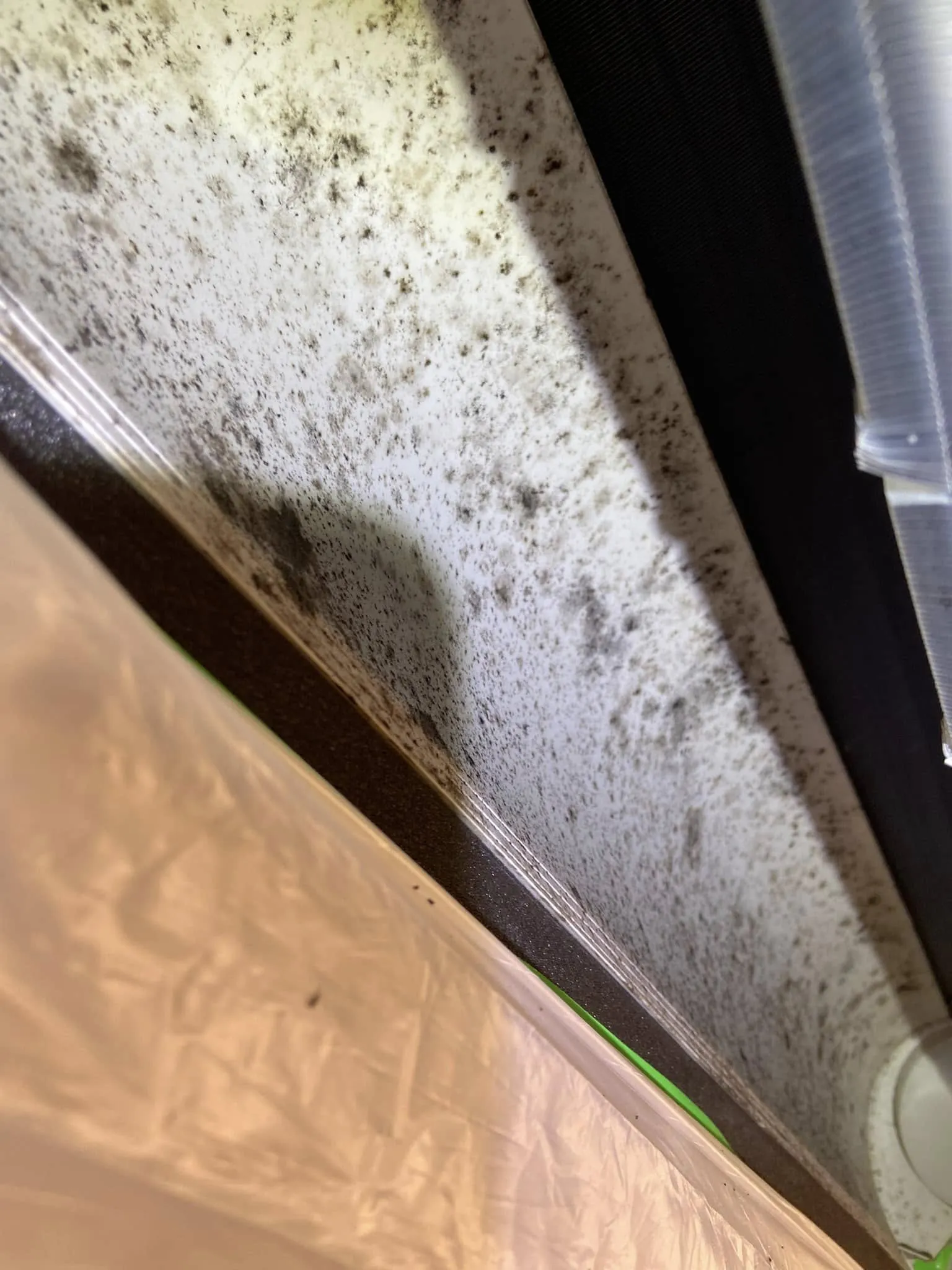 看到那黑點點了嗎！？