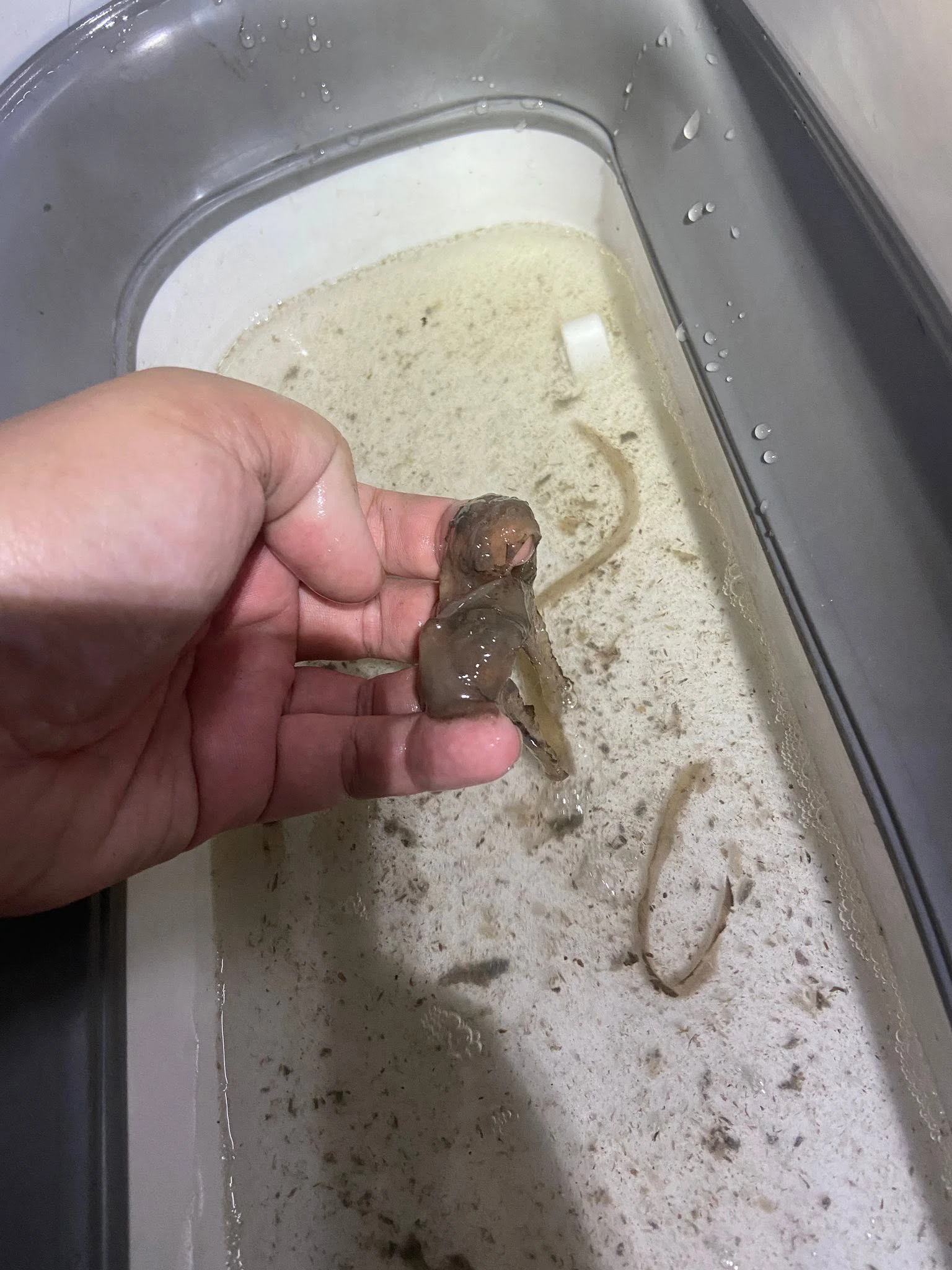 洗到這種冷氣還蠻有成就感