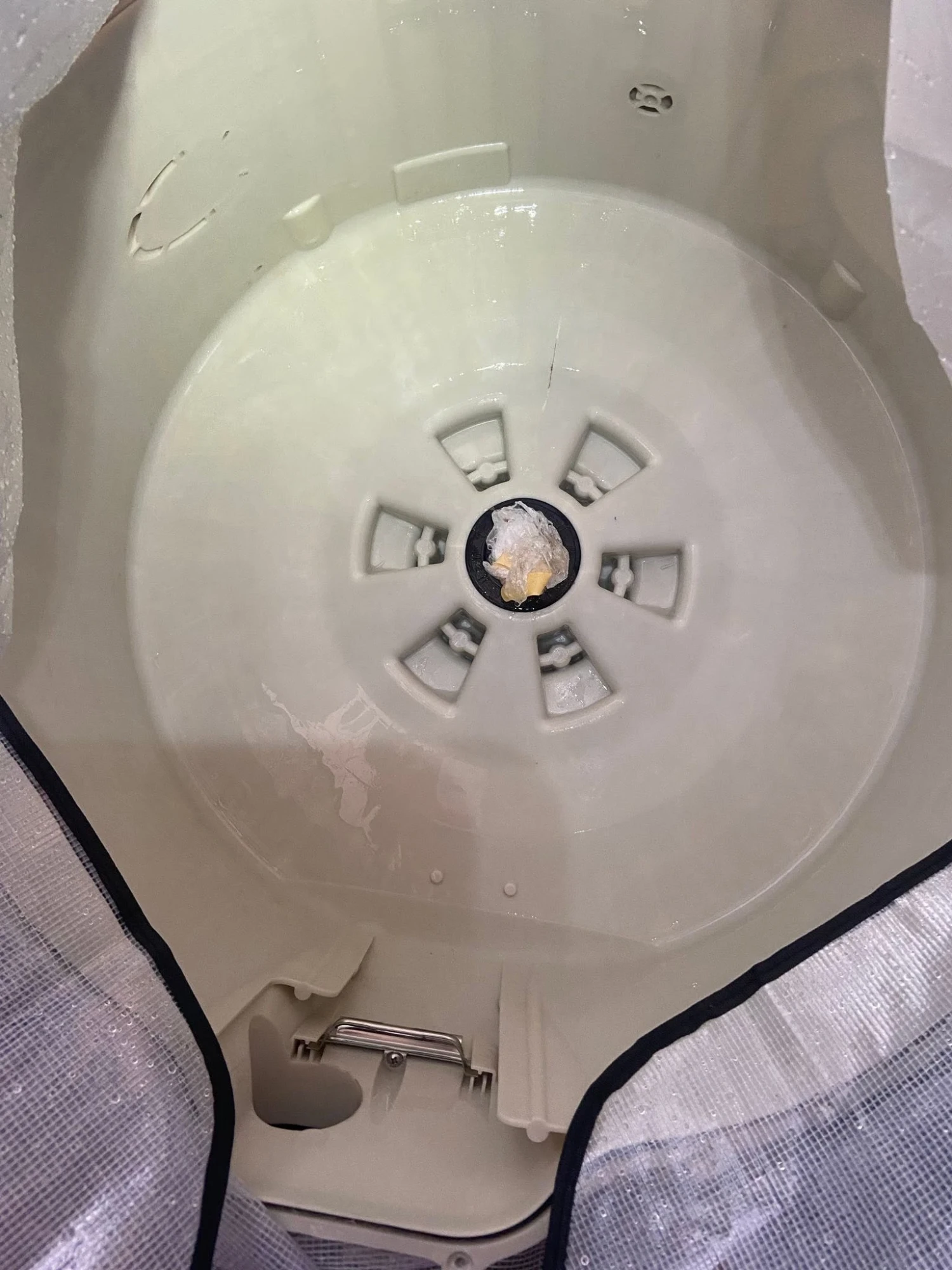 洗衣機清洗