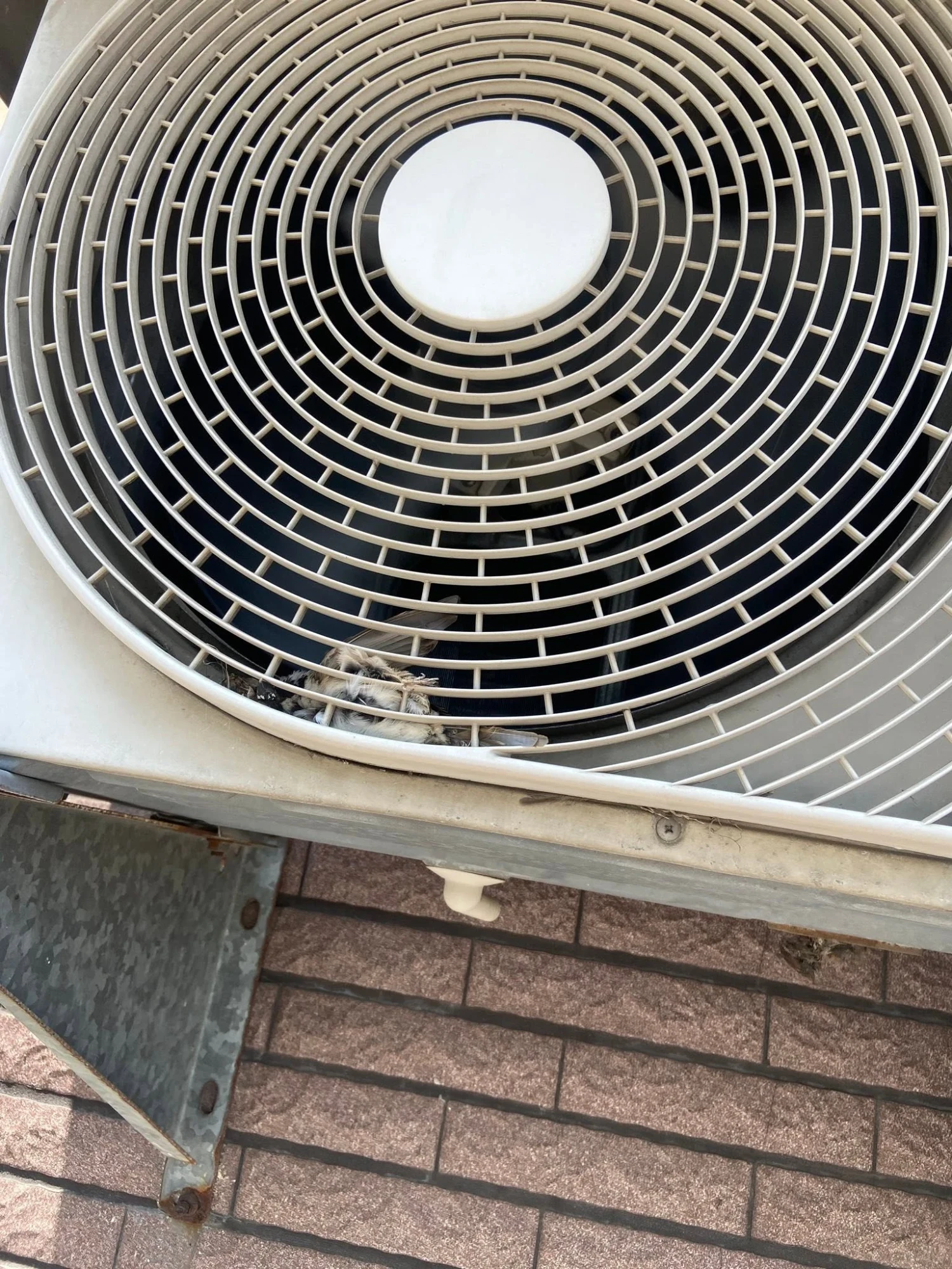 分離式冷氣清洗