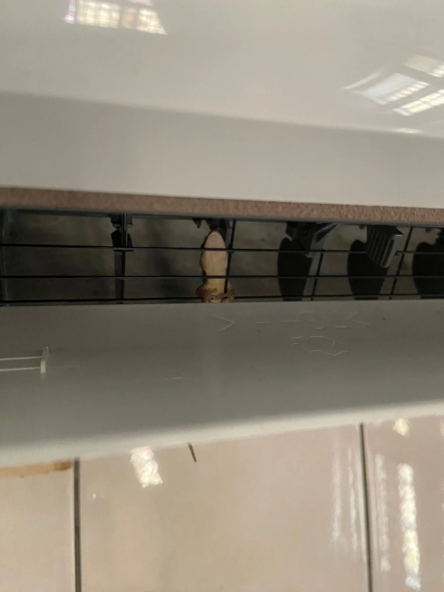 分離式冷氣清洗
