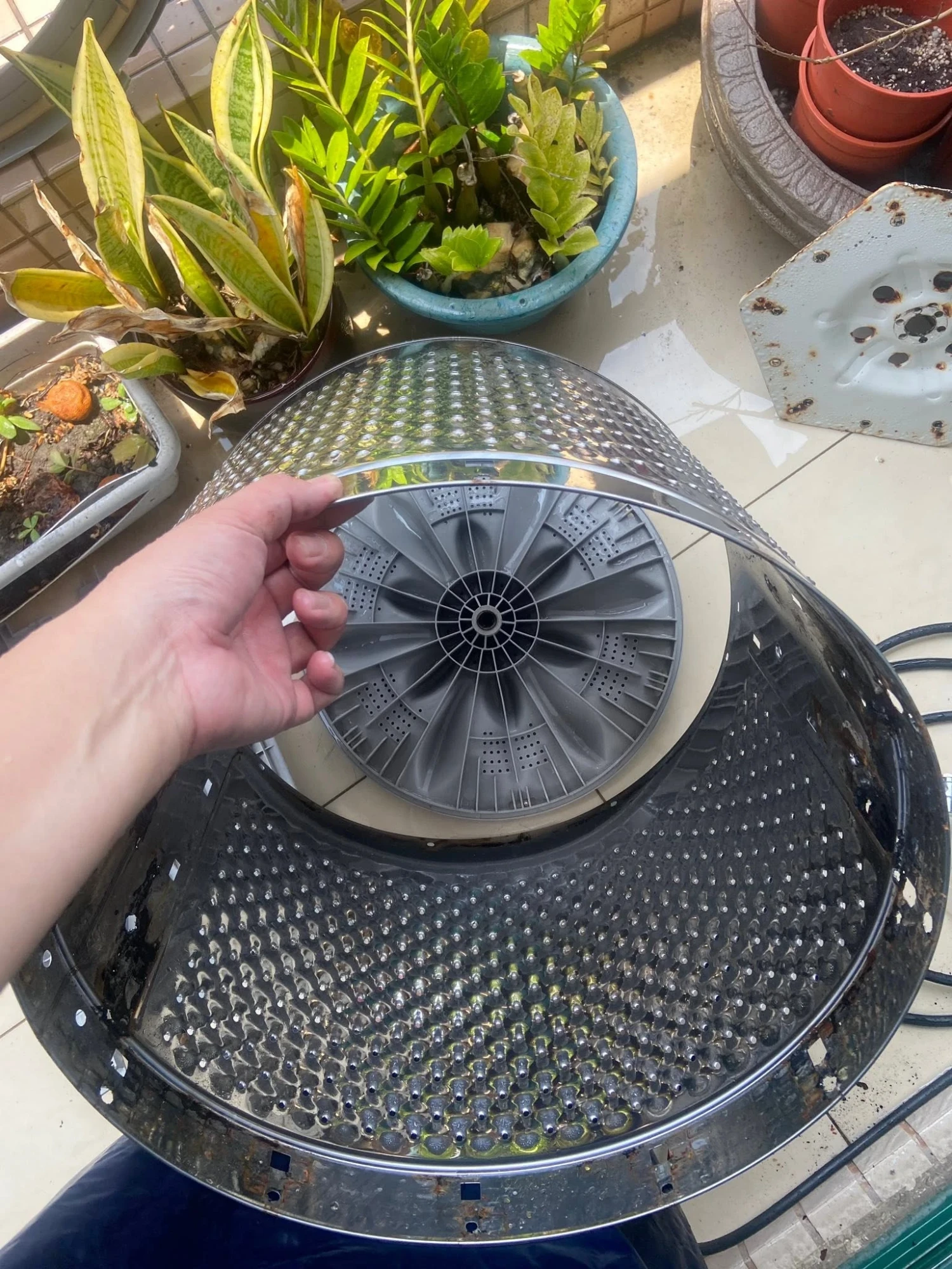 直立式洗衣機清洗