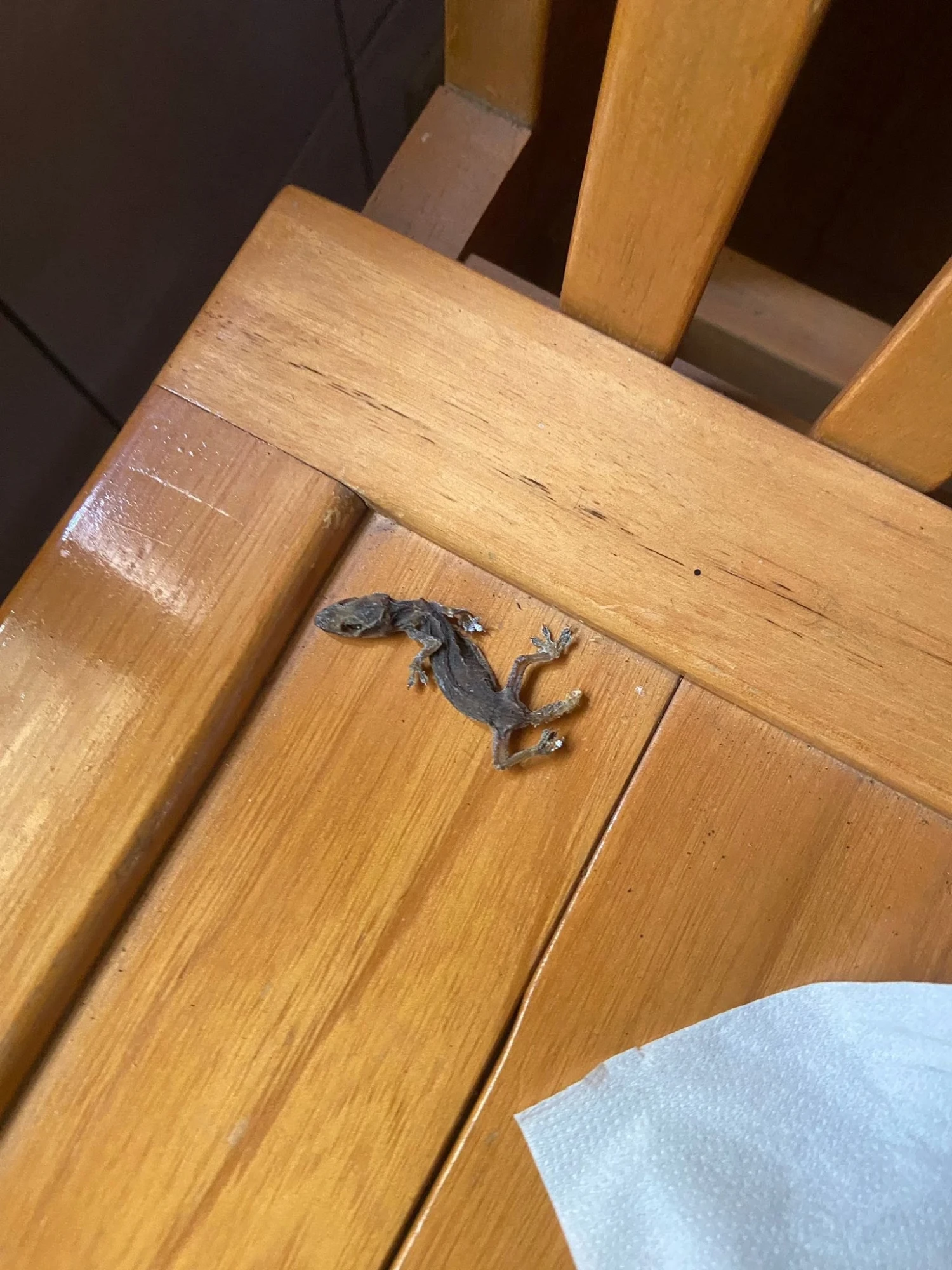 分離式冷氣清洗