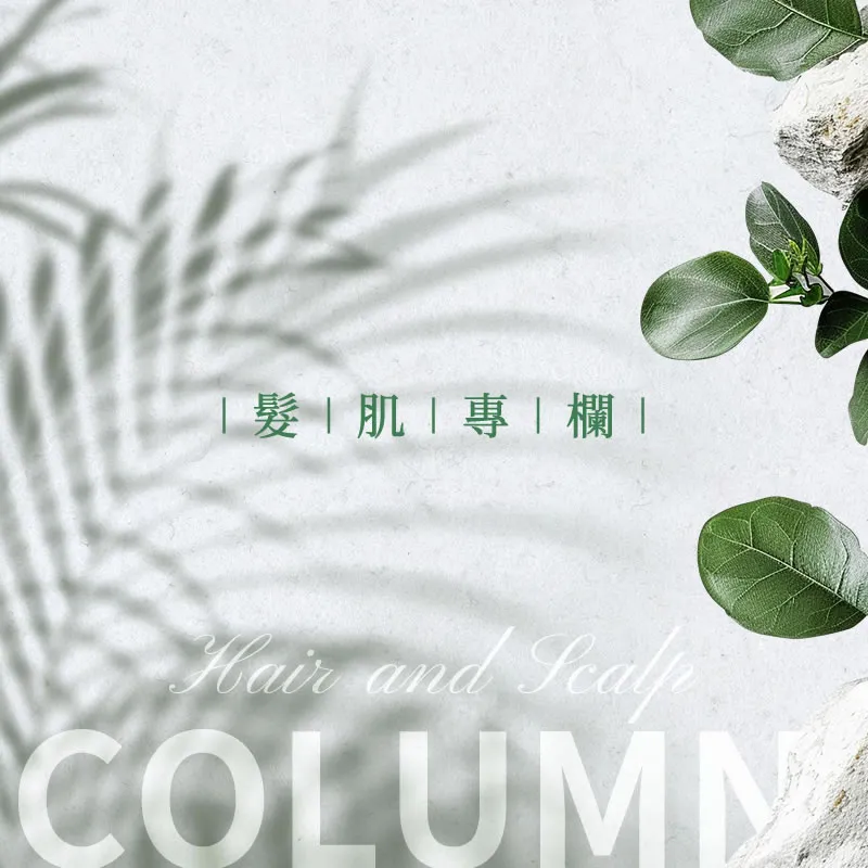 髮肌專欄