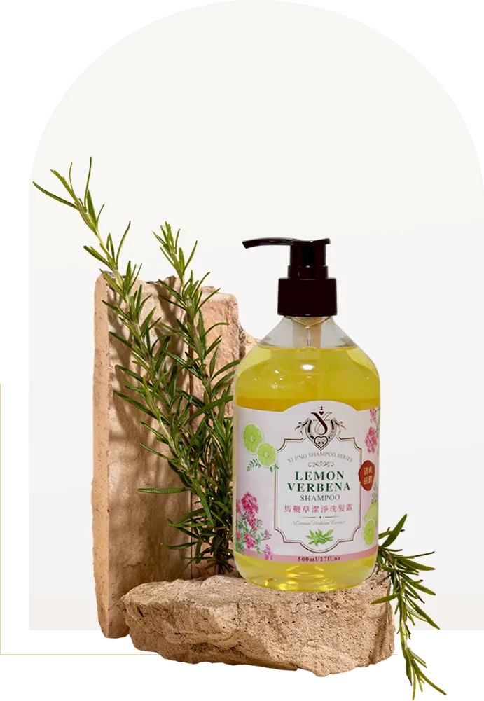 馬鞭草潔淨洗髮露 500ml