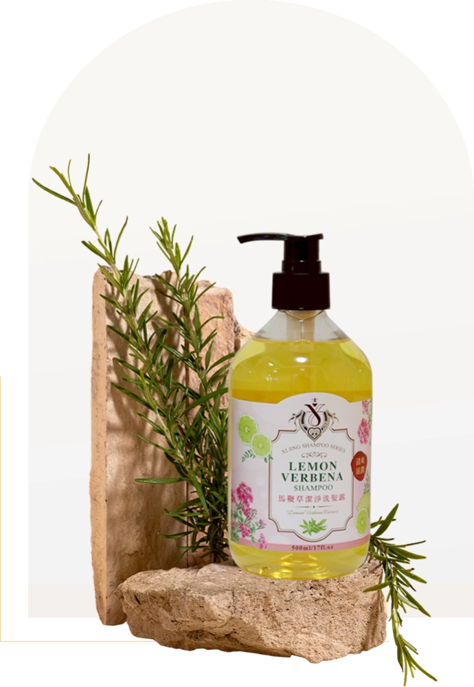 馬鞭草潔淨洗髮露 500ml