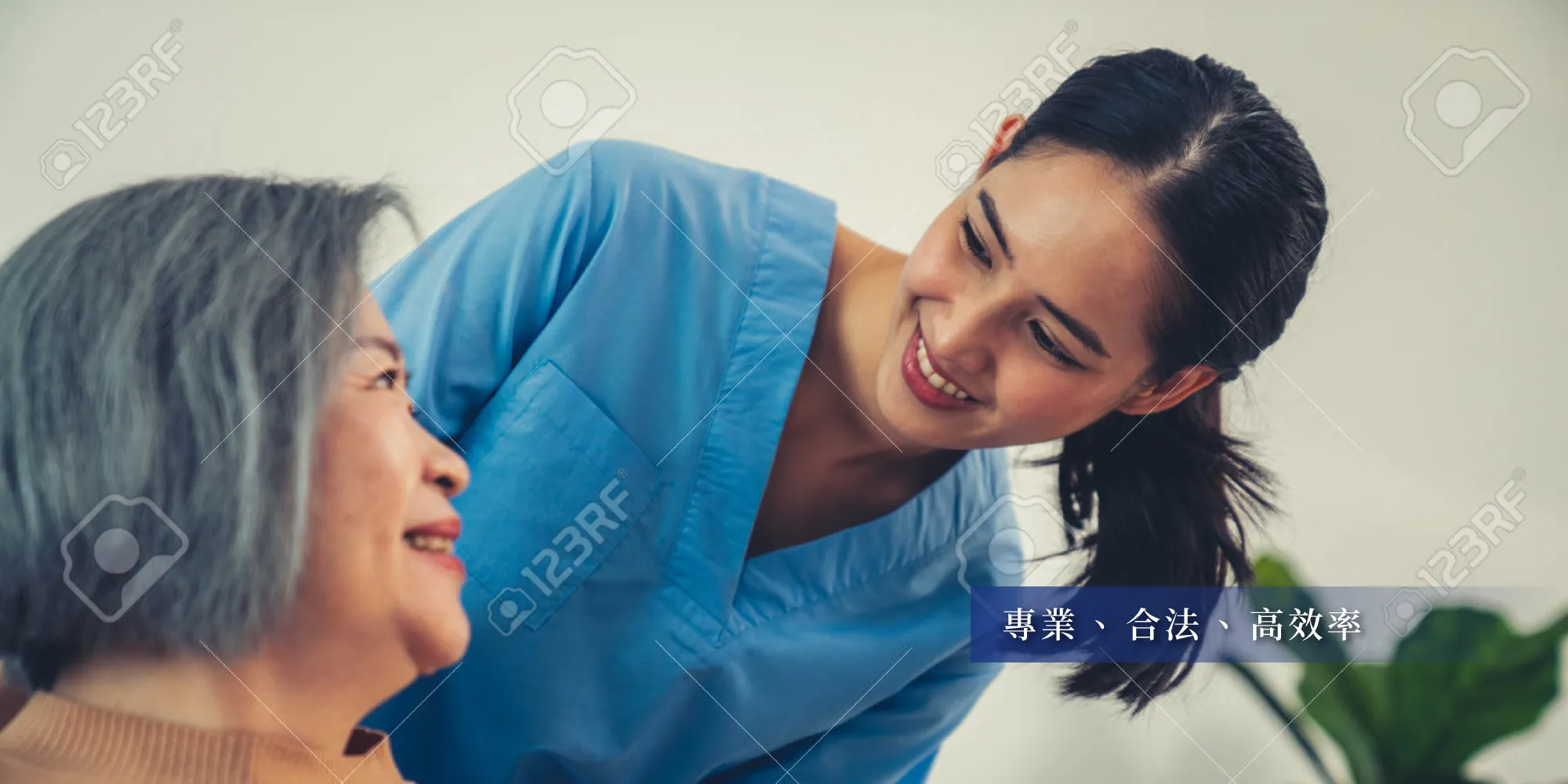 新安人力仲介有限公司