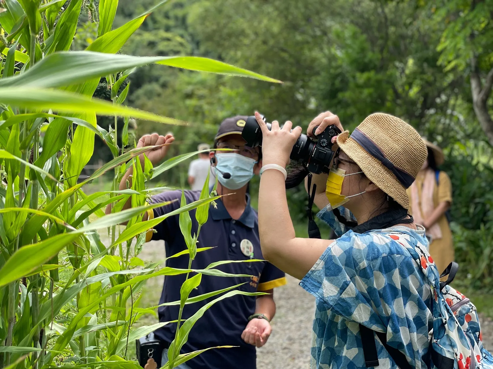 休閒農場露營設施正名 交通部主管露營場用地不得設置休閒農場