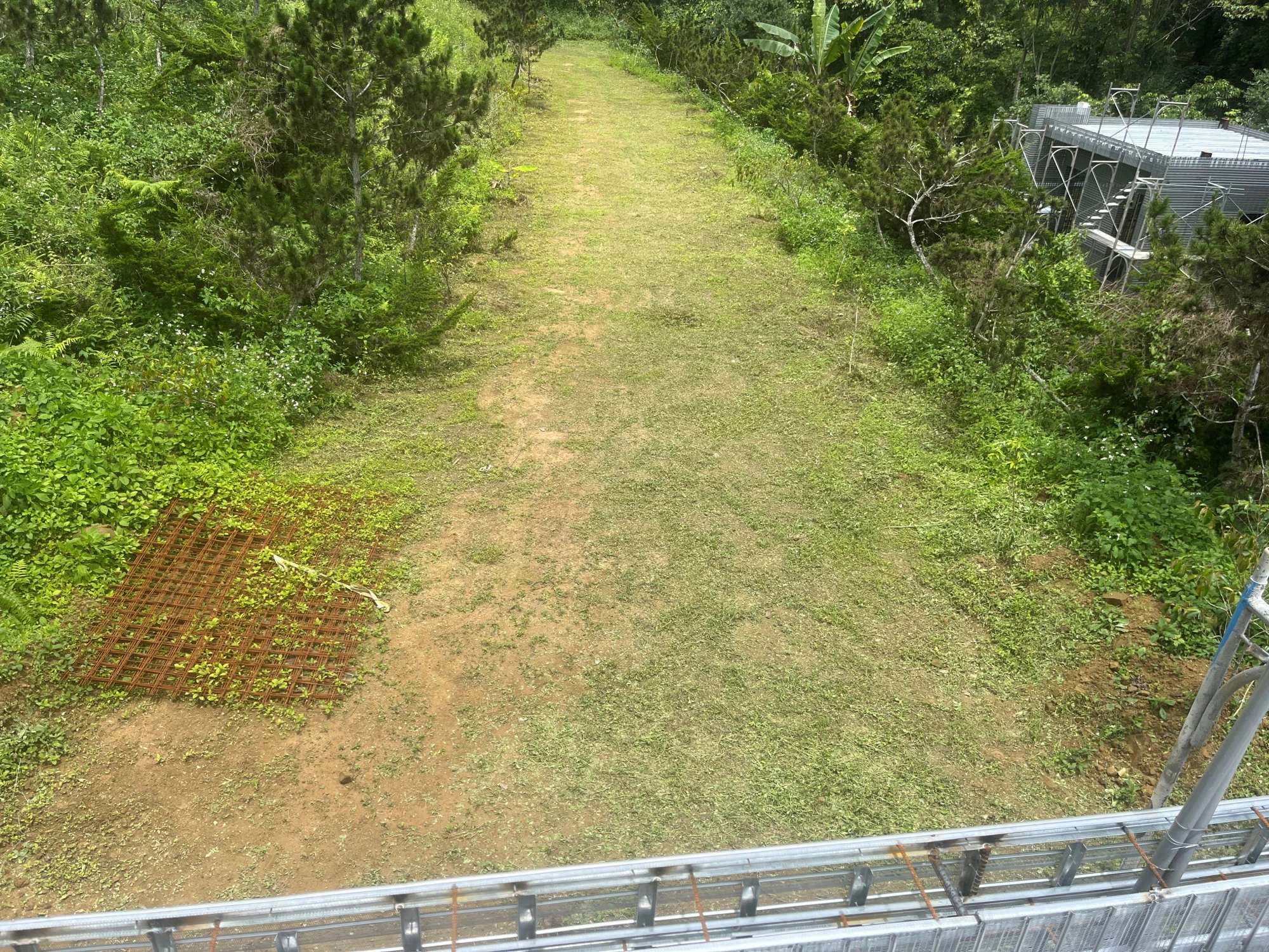 115.5.20(1.道路與建築周邊整理。2.鋼承板底層筋。)