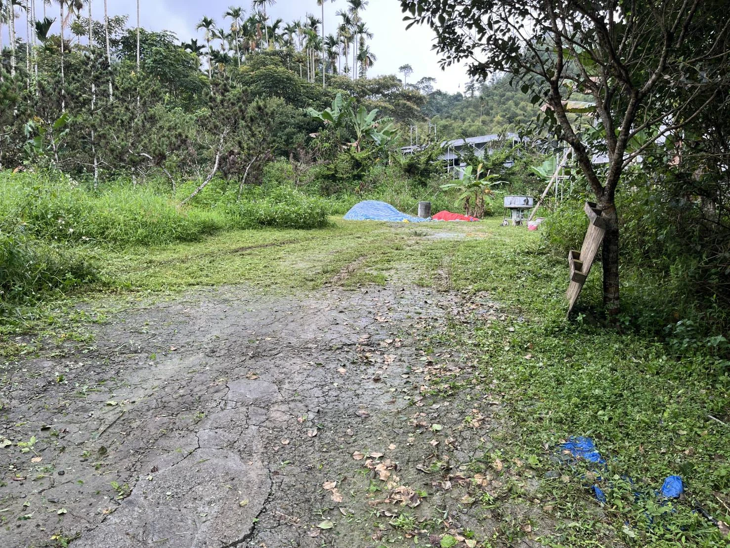 鹿谷鄉文昌段露營場工程施工