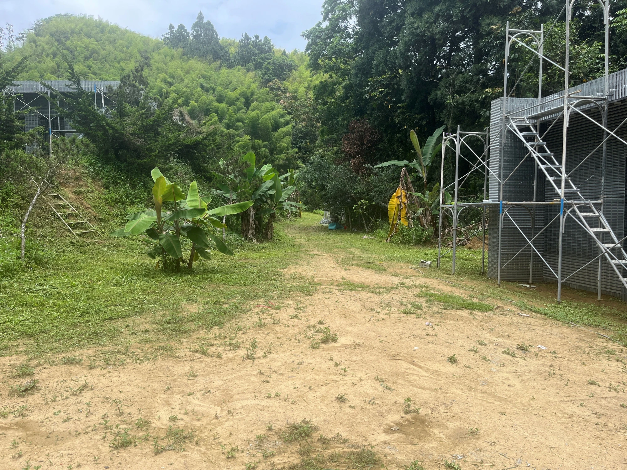115.5.20(1.道路與建築周邊整理。2.鋼承板底層筋。)