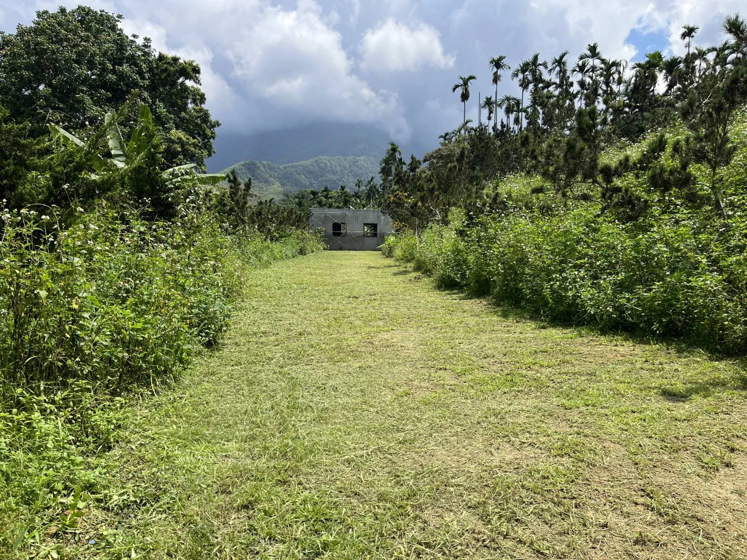 鹿谷鄉文昌段露營場工程施工