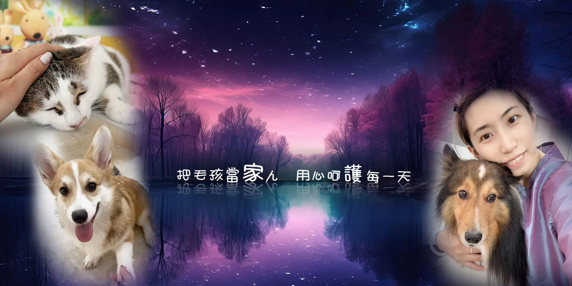 星川寵物沙龍