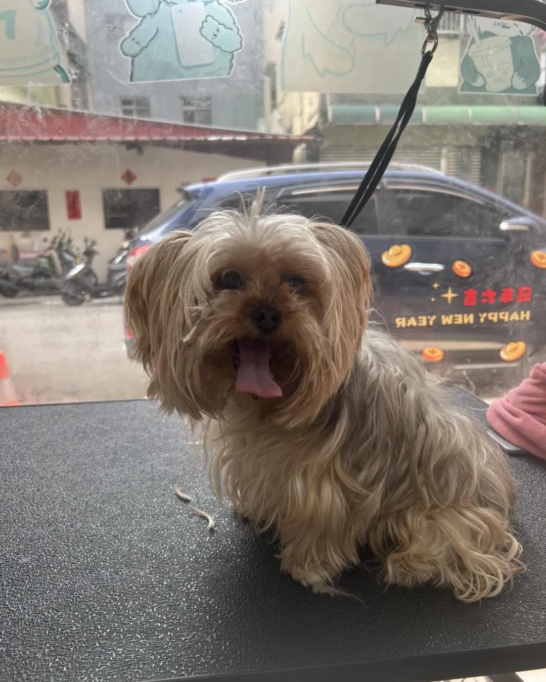 寶貝：阿咘
