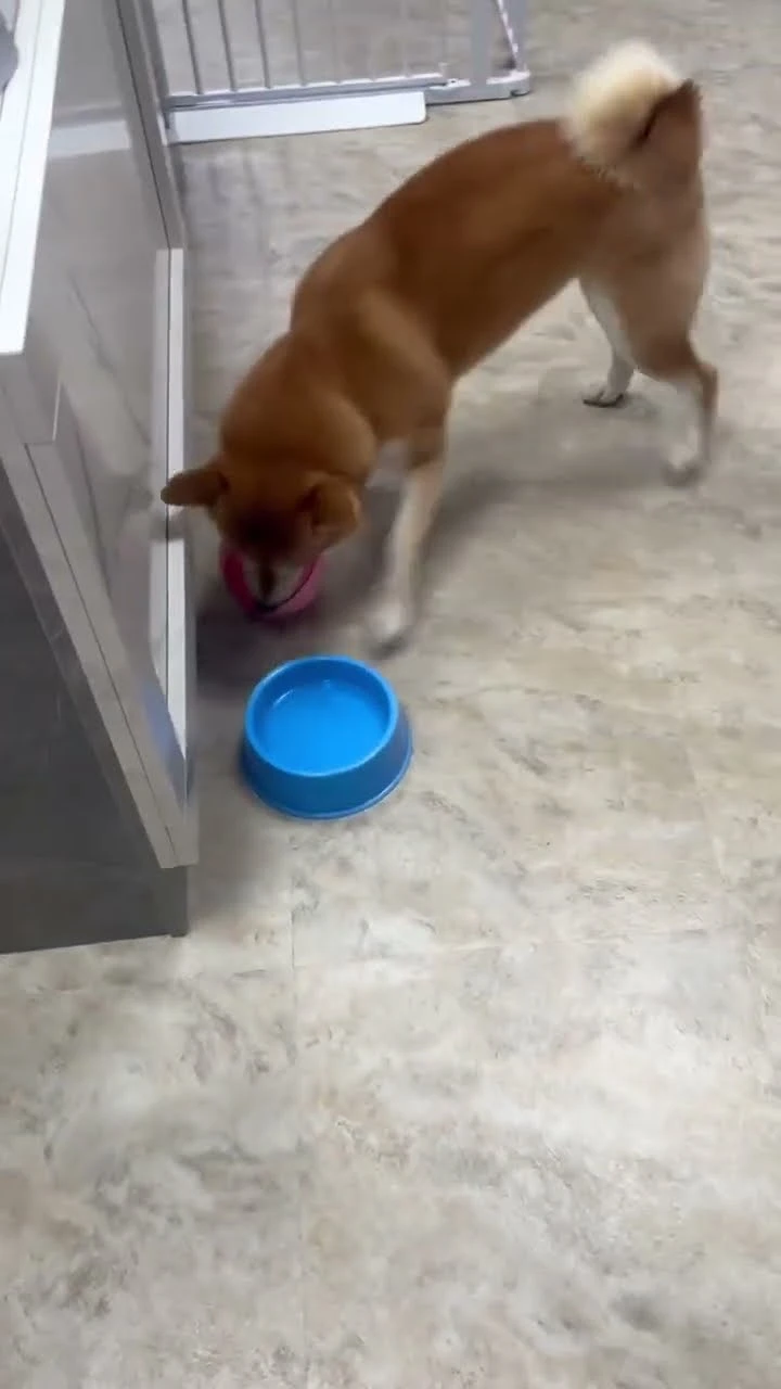 日常分享