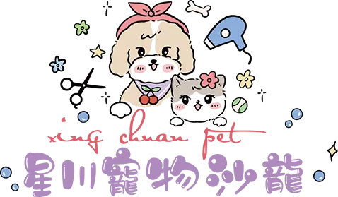 星川寵物沙龍-寵物美容,寵物美容推薦,台中寵物美容,北屯區寵物美容