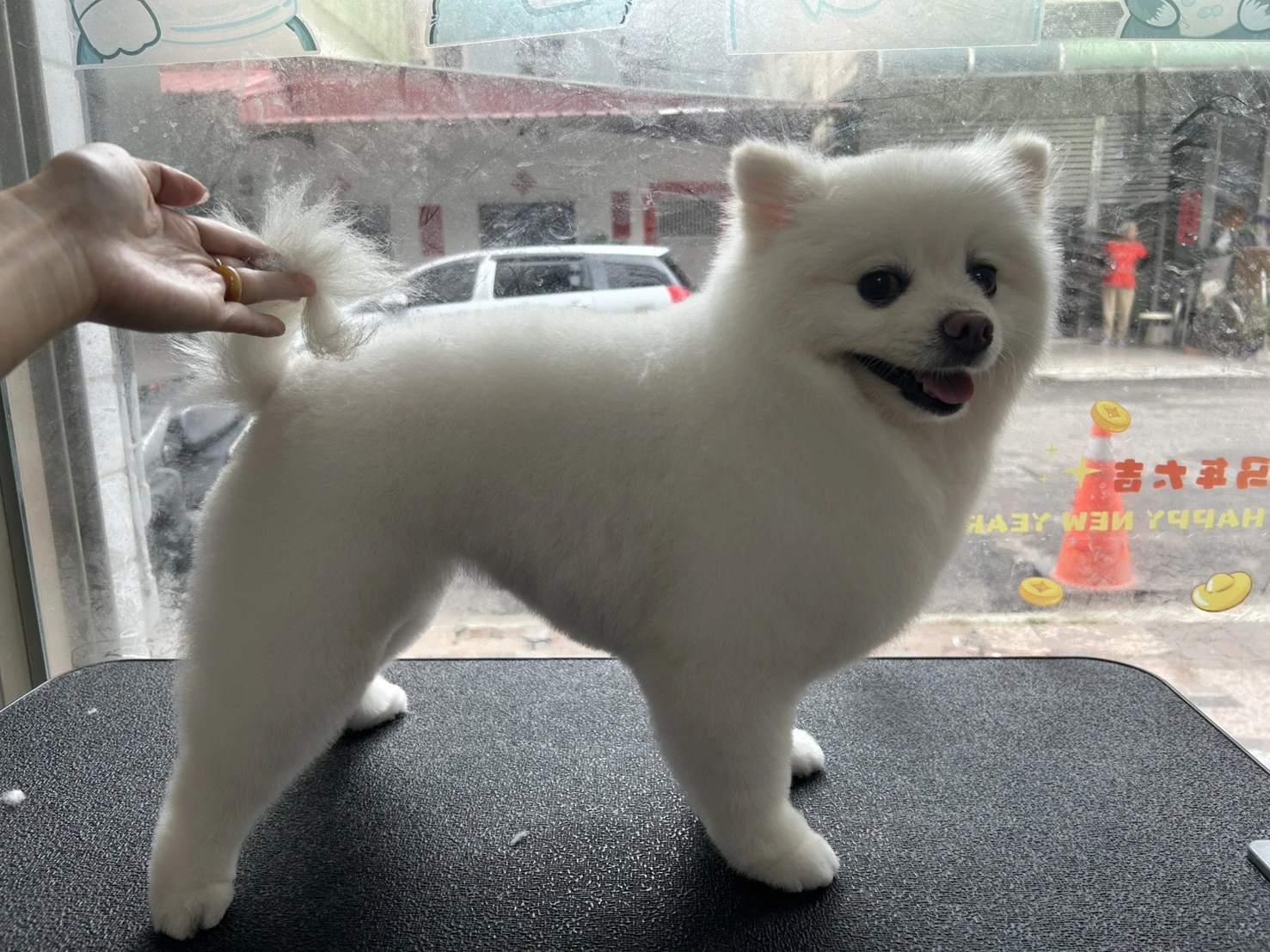 剪毛區