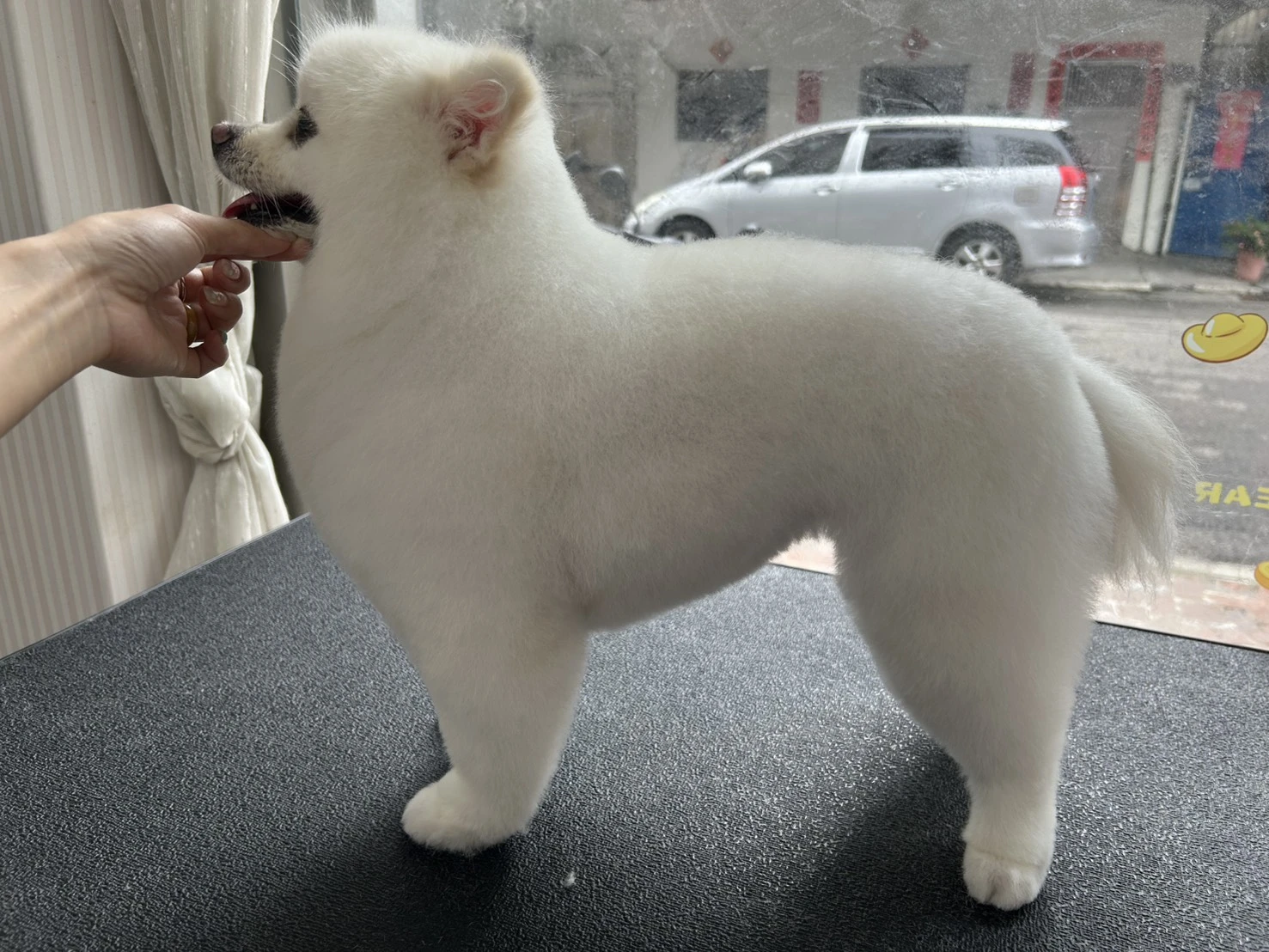 剪毛區