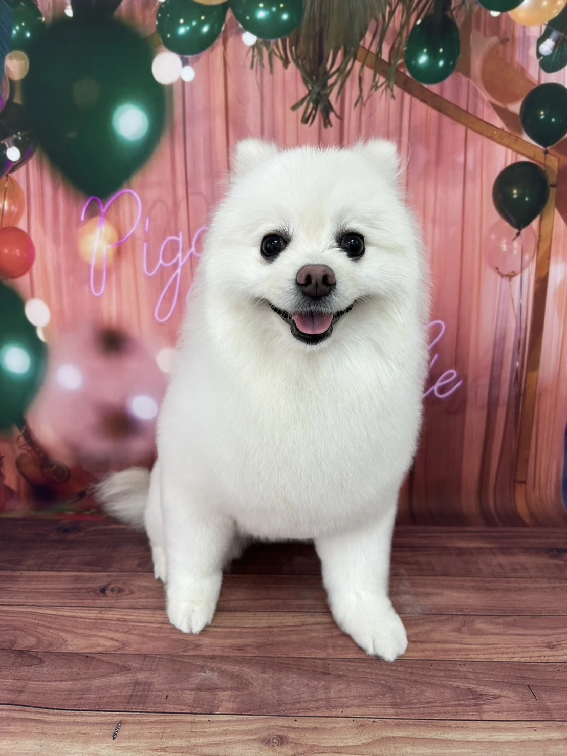 剪毛區