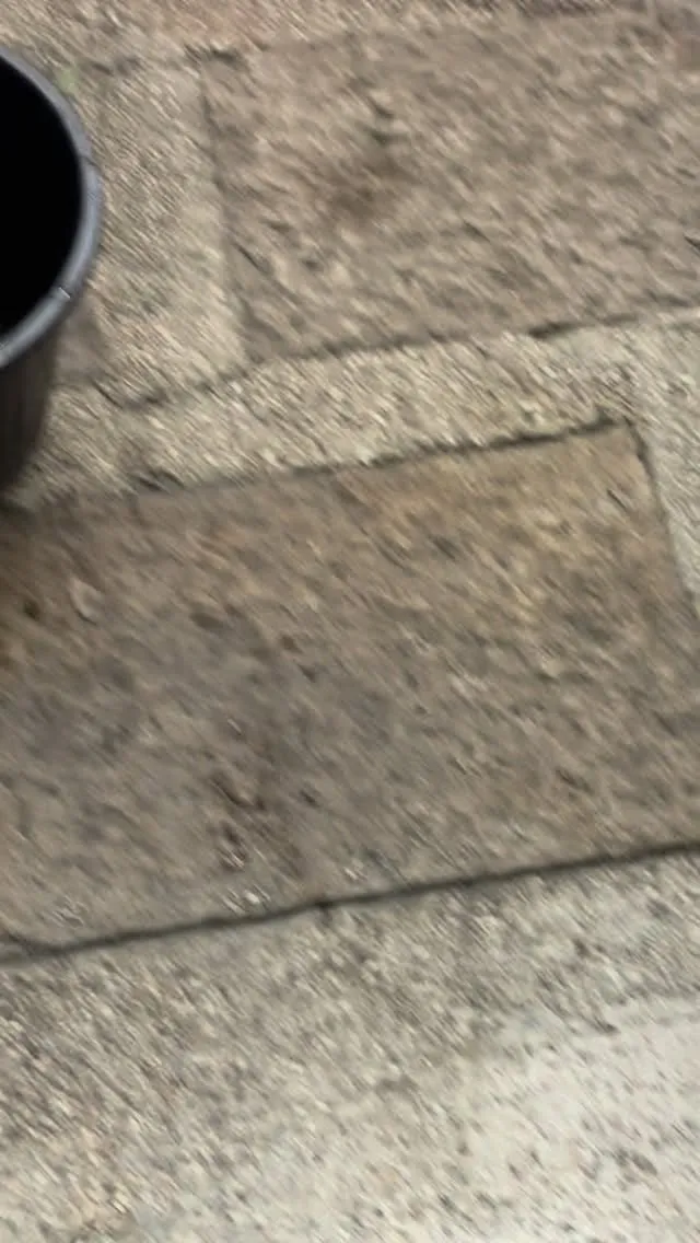 大晚上的水管堵塞怎麼辦？｜新竹24小時通管｜竹北24小時通管｜