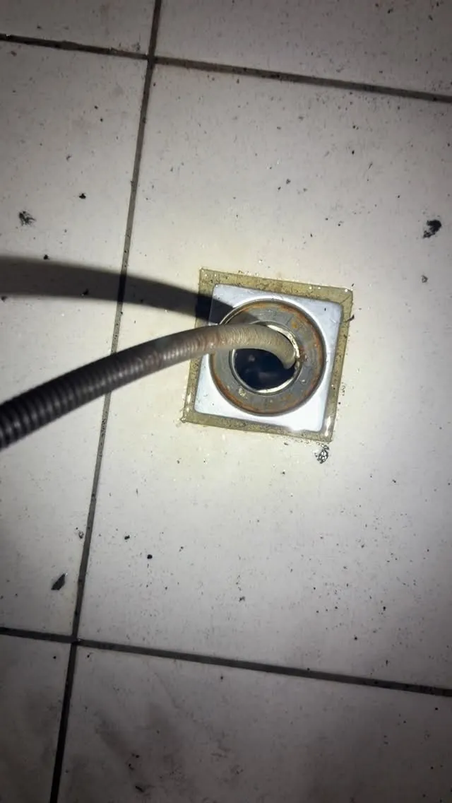 今天這位客人的問題是 使用大量的水 地排就會淹水｜新竹通廁所地排｜竹北通廁所地排｜