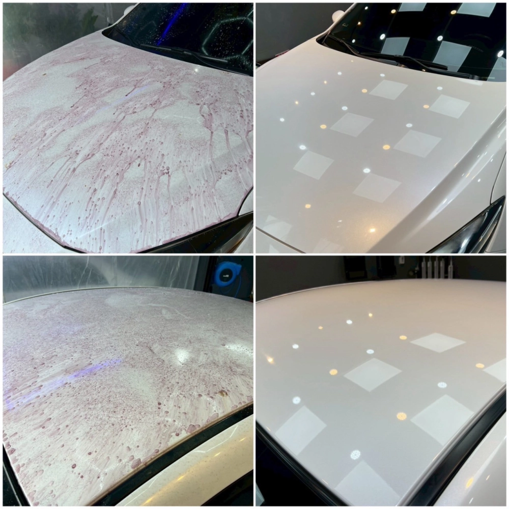 車輛施作前後對比