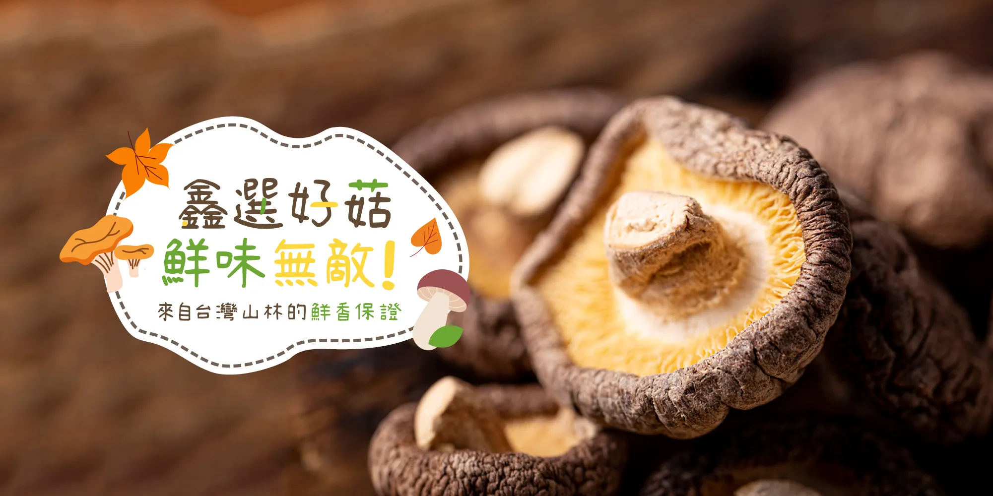 鑫鮮菇園-香菇買賣,南投香菇買賣,水里香菇買賣,香菇批發,南投香菇批發