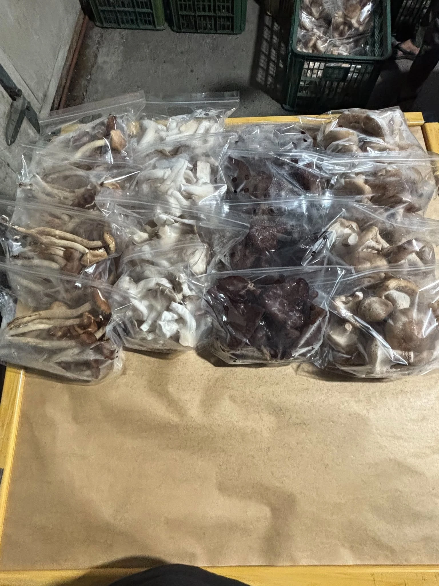 香菇園自家生產有哪些菇類？香菇、秀珍菇、柳松菇及木耳一次認識
