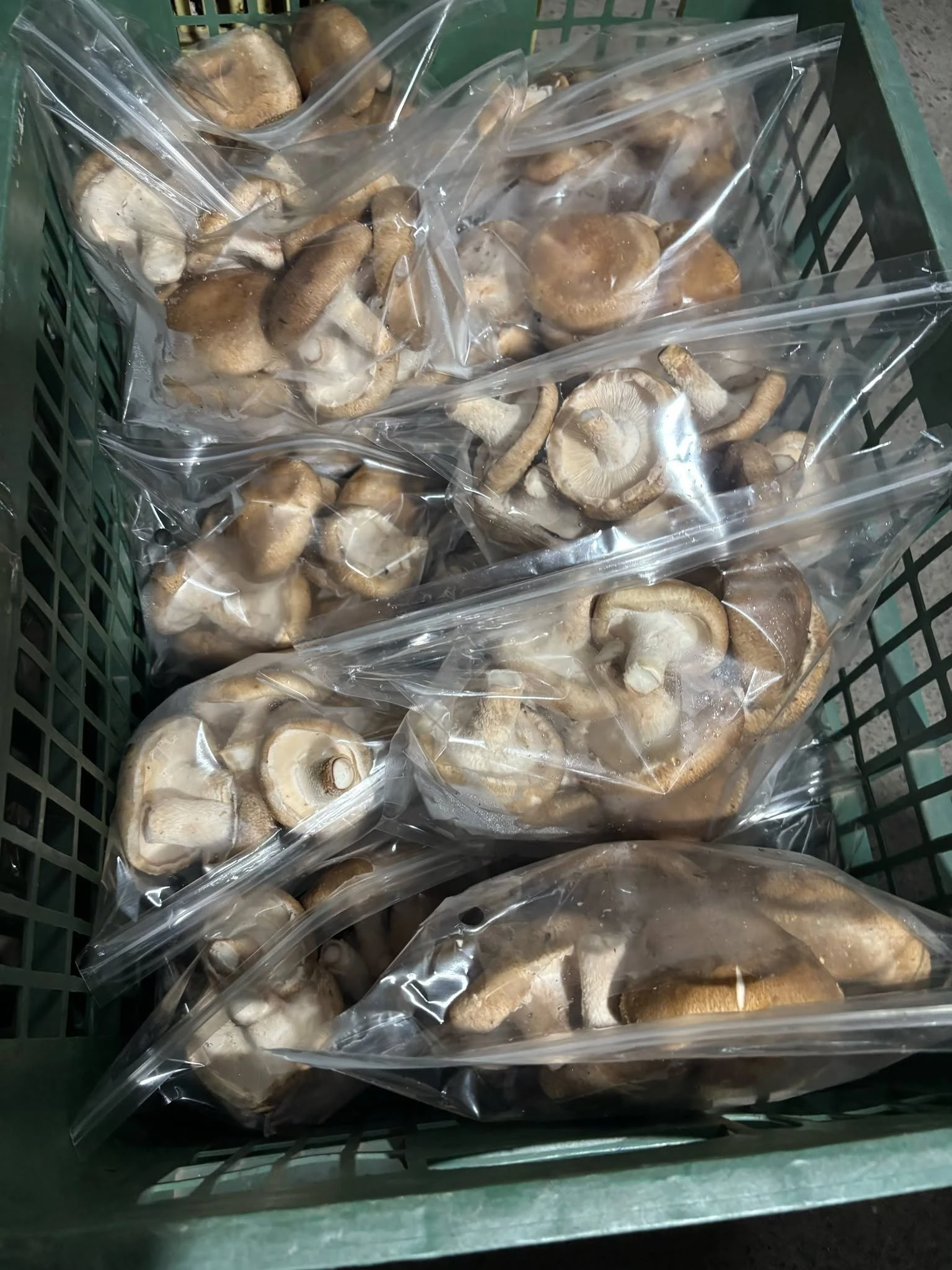 香菇禮盒怎麼挑？香菇謝謝團購，送禮自用都適合