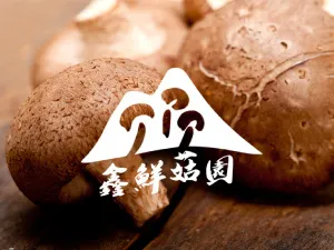 採菇DIY