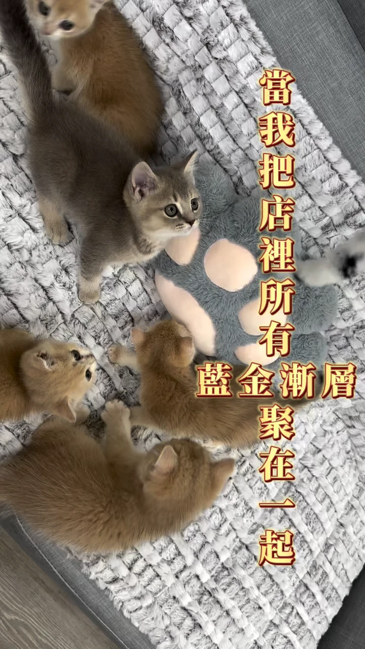 今日份的五倍可愛請速來簽收！