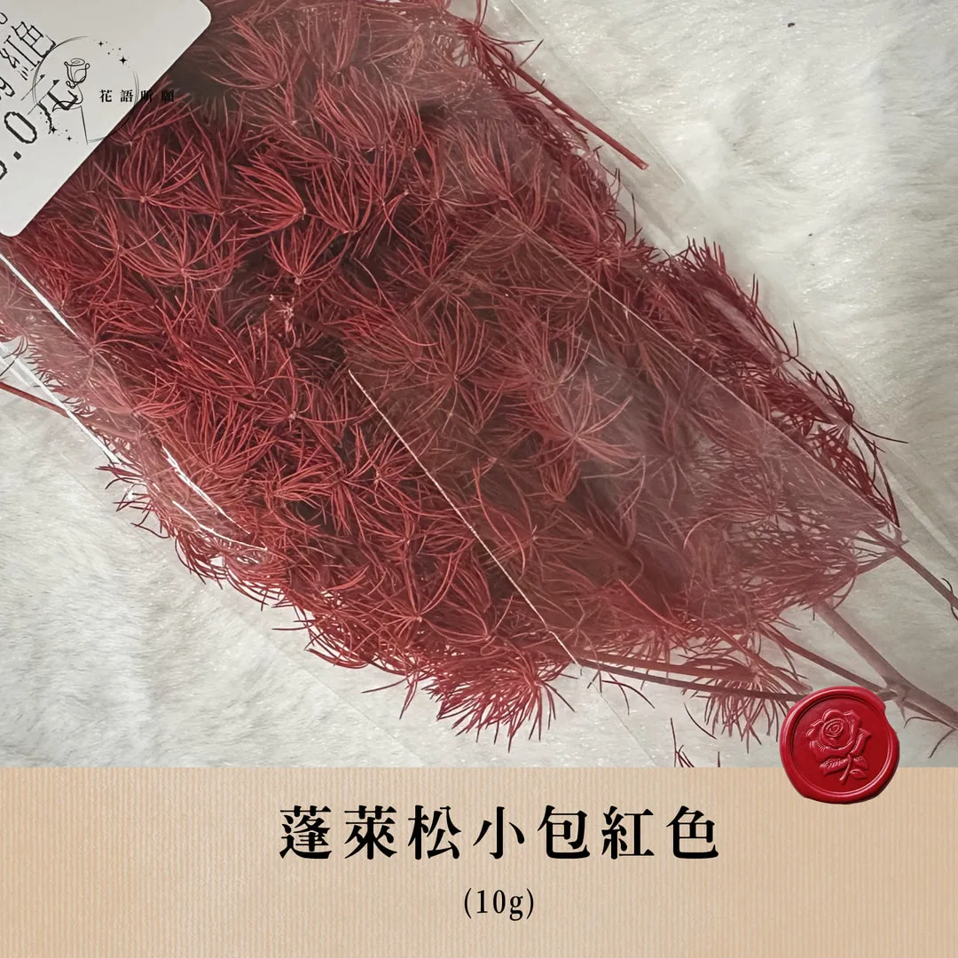 蓬萊松10g小包裝