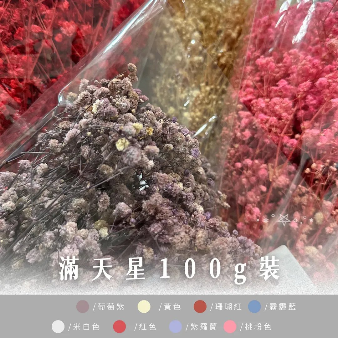 滿天星100g