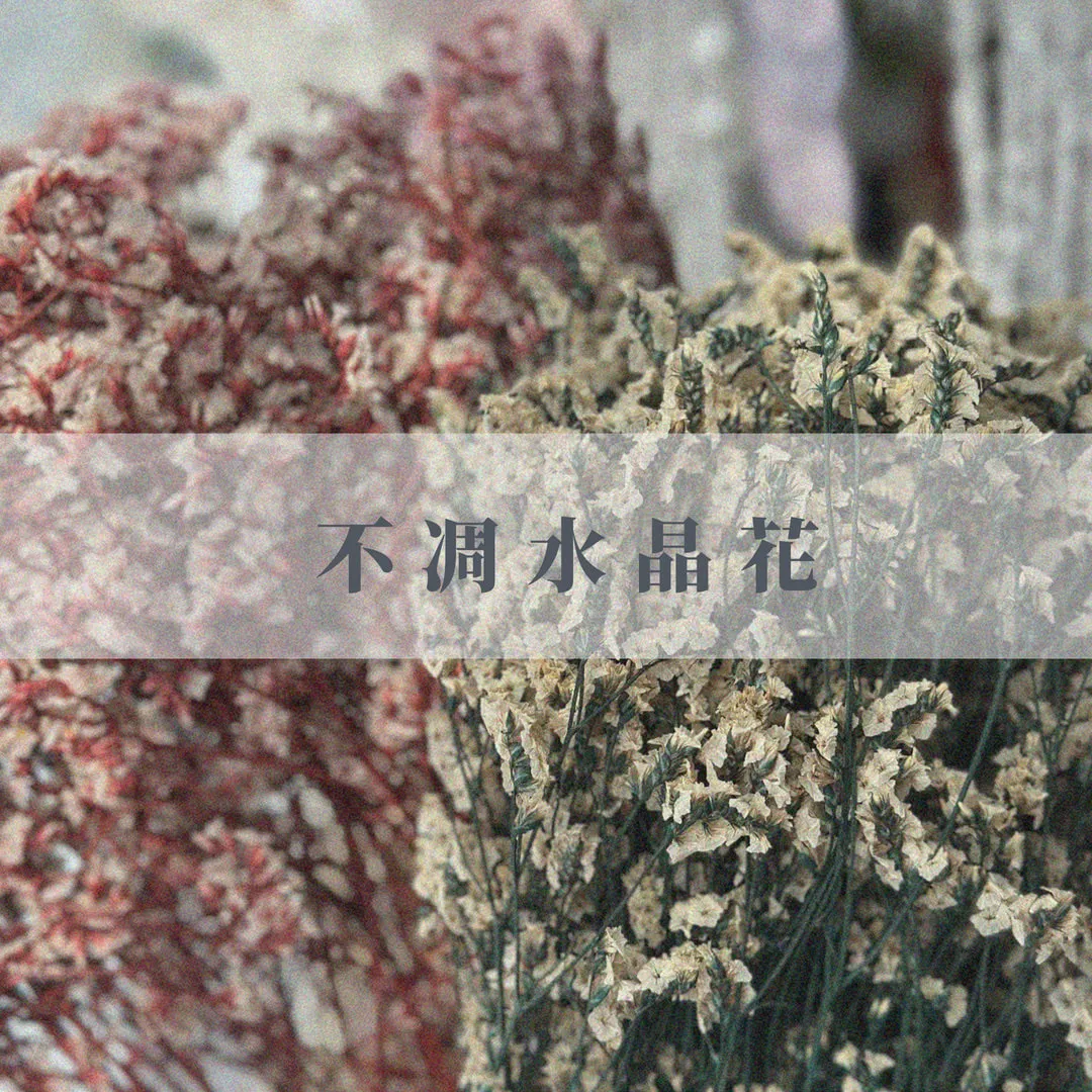 不凋水晶花