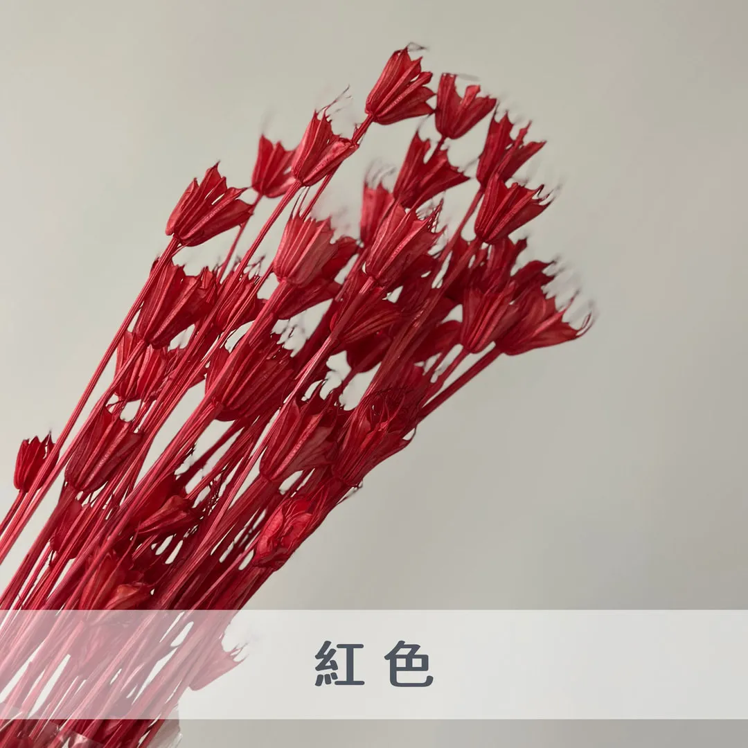 乾燥木百合（八角花）