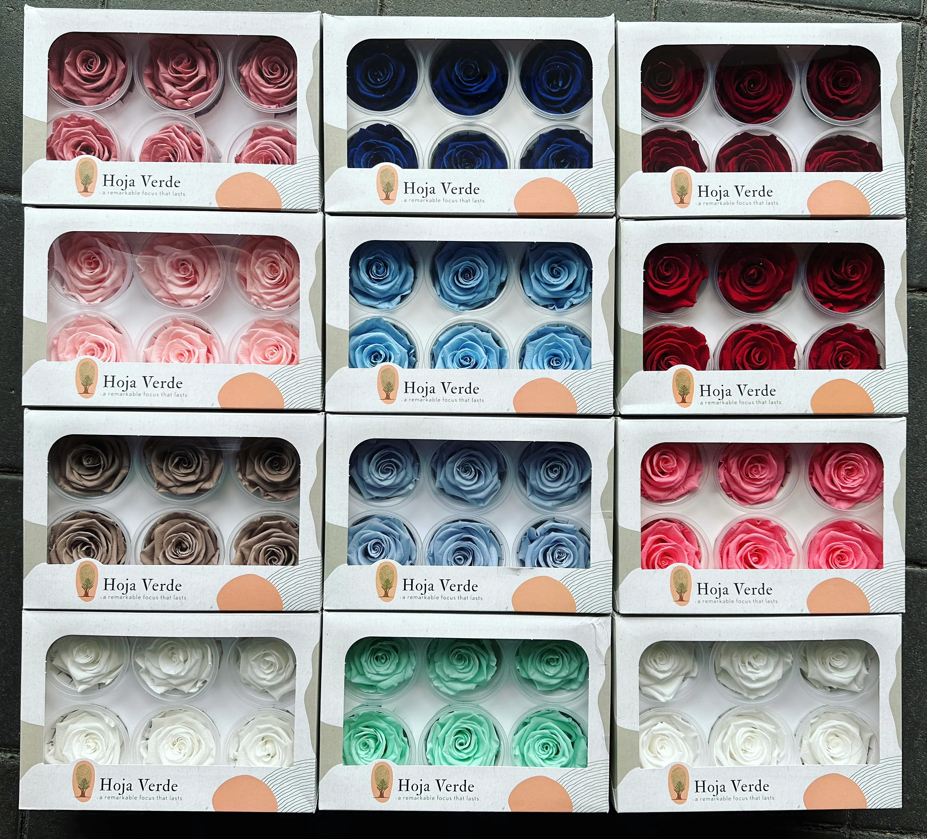 Hoja Verde厄瓜多永生玫瑰