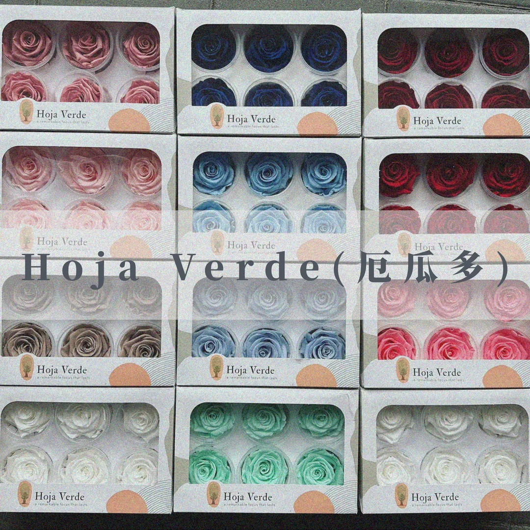 Hoja Verde厄瓜多永生玫瑰